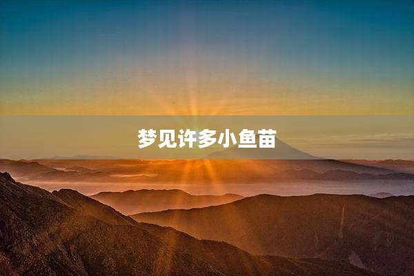 梦见许多小鱼苗