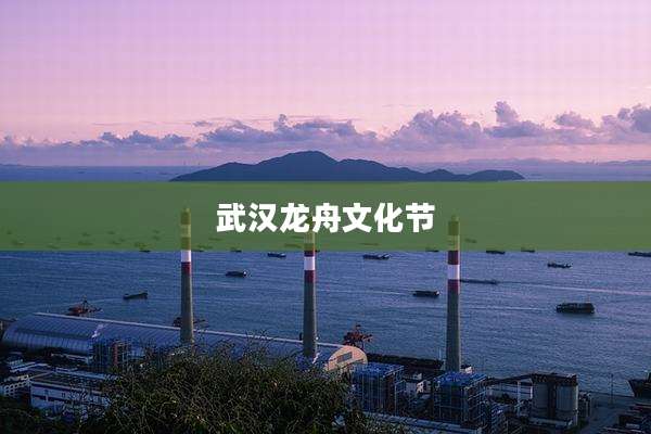 武汉龙舟文化节