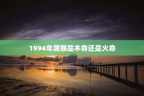 1994年属猴是木命还是火命
