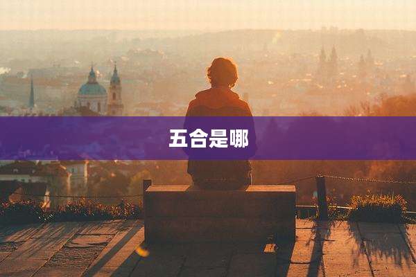 五合是哪