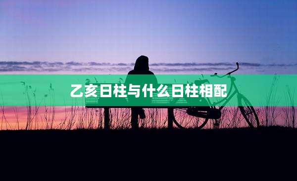 乙亥日柱与什么日柱相配