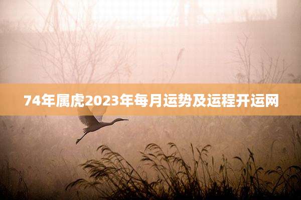 74年属虎2023年每月运势及运程开运网