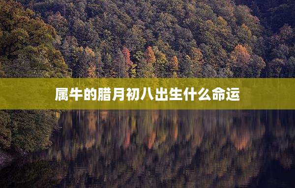 属牛的腊月初八出生什么命运