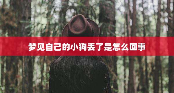 梦见自己的小狗丢了是怎么回事