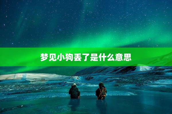 梦见小狗丢了是什么意思
