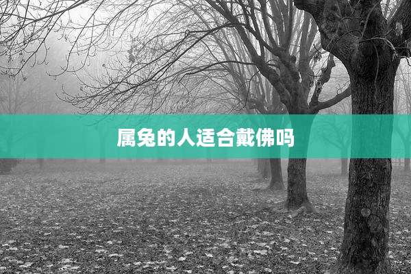 属兔的人适合戴佛吗