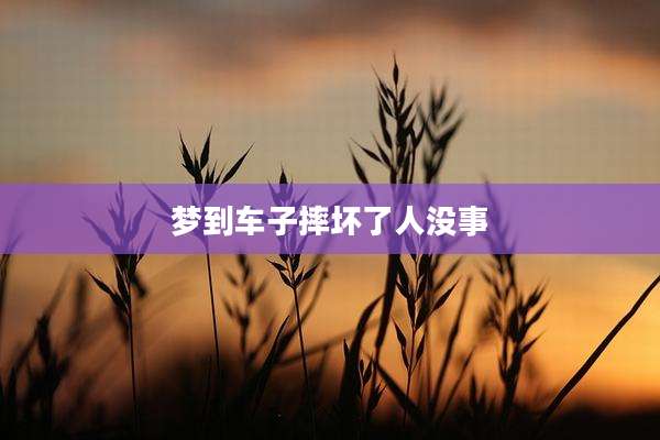 梦到车子摔坏了人没事