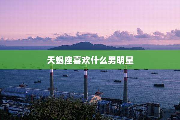天蝎座喜欢什么男明星