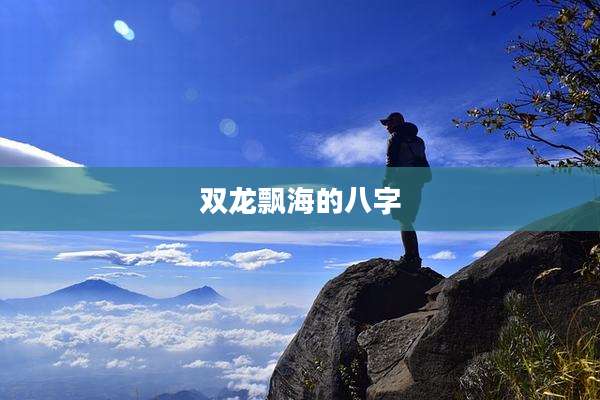 双龙飘海的八字