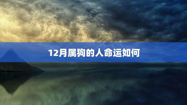 12月属狗的人命运如何
