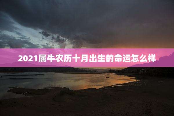 2021属牛农历十月出生的命运怎么样