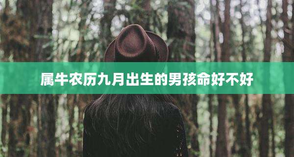 属牛农历九月出生的男孩命好不好