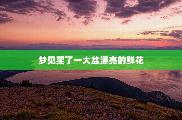 梦见买了一大盆漂亮的鲜花