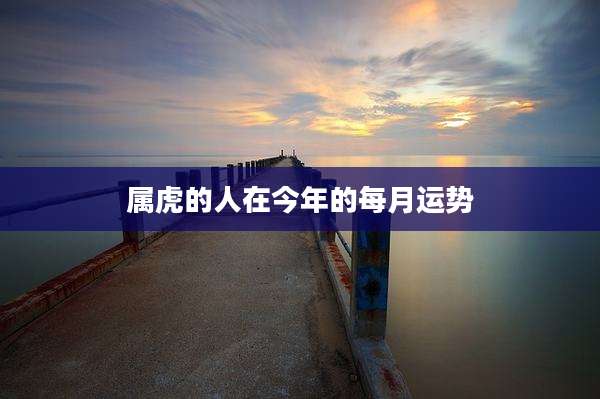 属虎的人在今年的每月运势