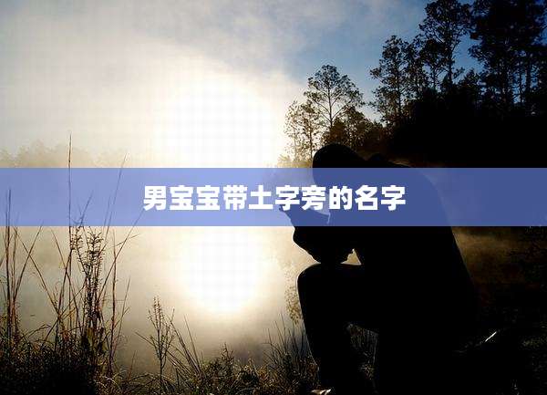 男宝宝带土字旁的名字