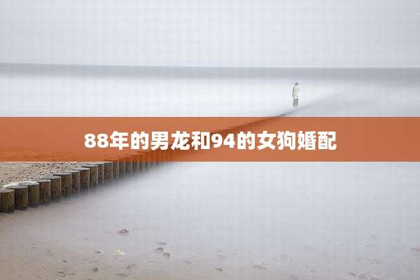 88年的男龙和94的女狗婚配