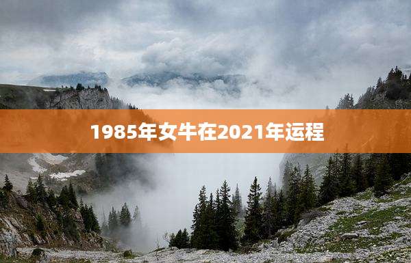1985年女牛在2021年运程