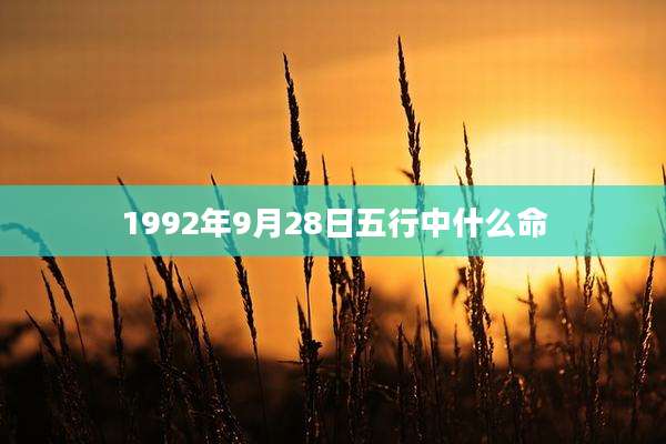 1992年9月28日五行中什么命