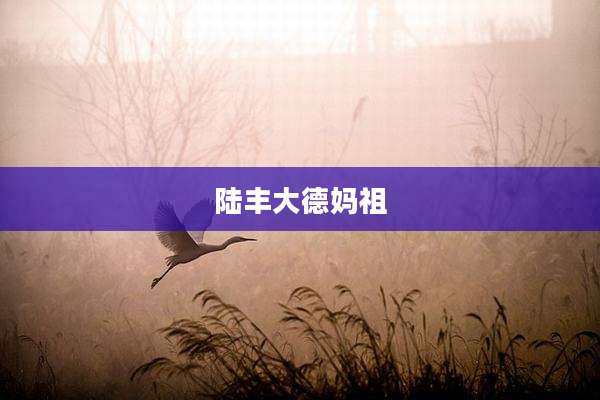 陆丰大德妈祖