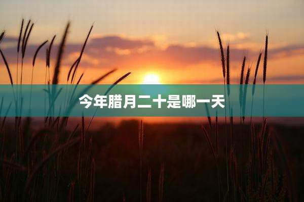 今年腊月二十是哪一天