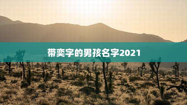 带奕字的男孩名字2021