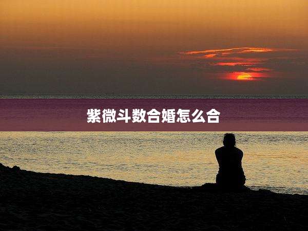 紫微斗数合婚怎么合
