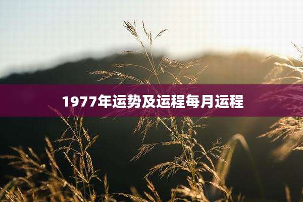1977年运势及运程每月运程