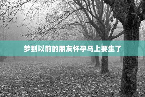 梦到以前的朋友怀孕马上要生了