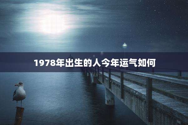 1978年出生的人今年运气如何
