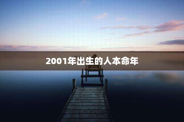 2001年出生的人本命年