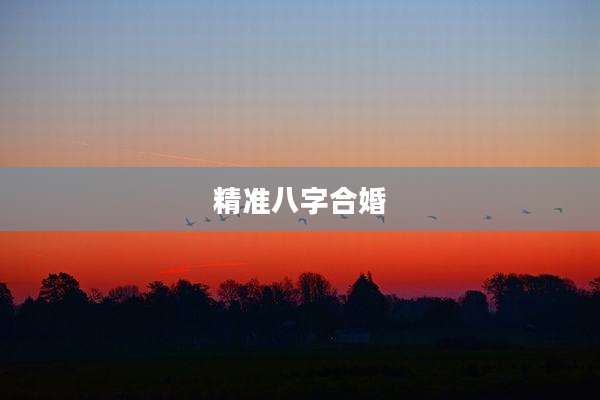 精准八字合婚