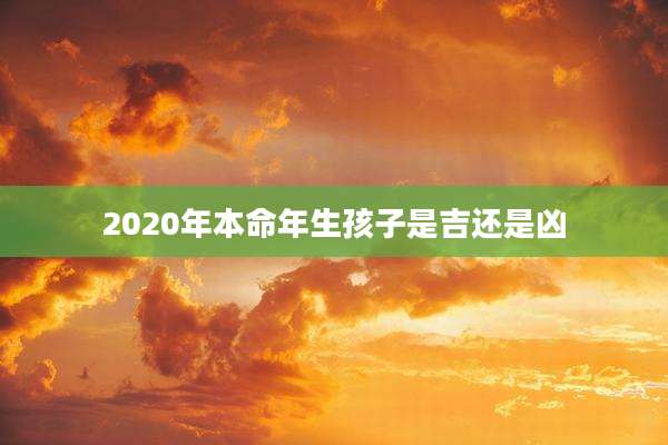 2020年本命年生孩子是吉还是凶