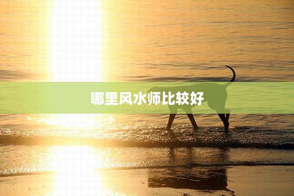 哪里风水师比较好
