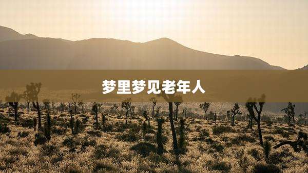 梦里梦见老年人