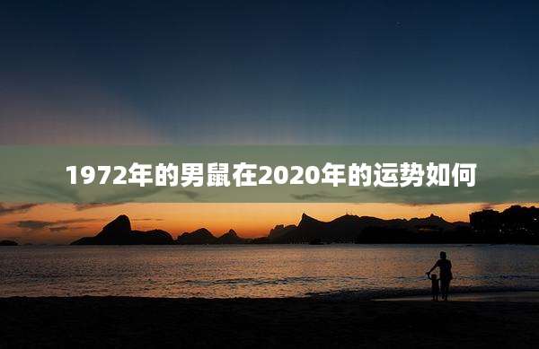 1972年的男鼠在2020年的运势如何