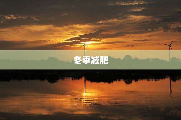 冬季减肥
