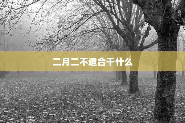 二月二不适合干什么