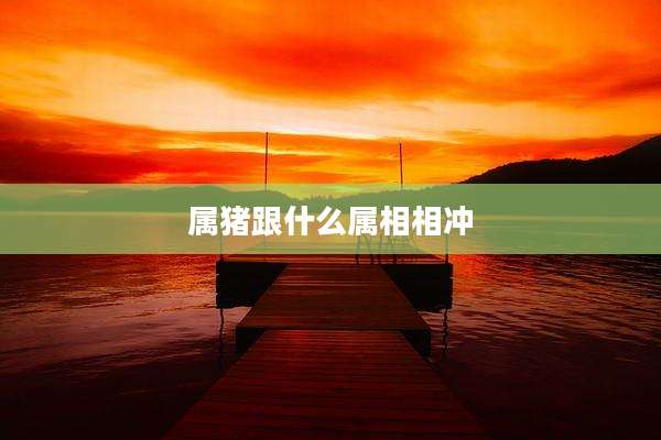 属猪跟什么属相相冲