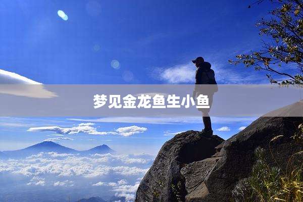 梦见金龙鱼生小鱼