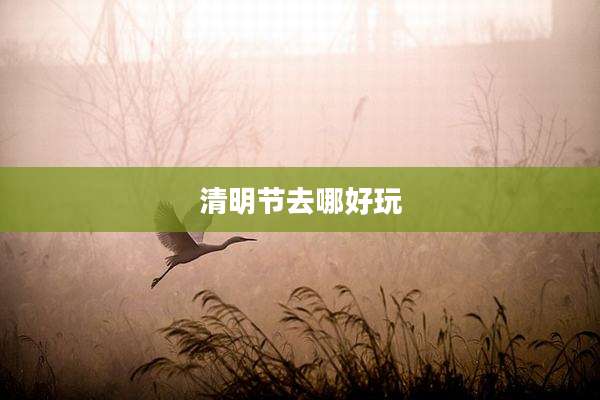 清明节去哪好玩