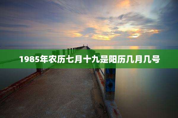 1985年农历七月十九是阳历几月几号