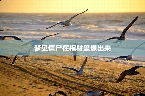 梦见僵尸在棺材里想出来