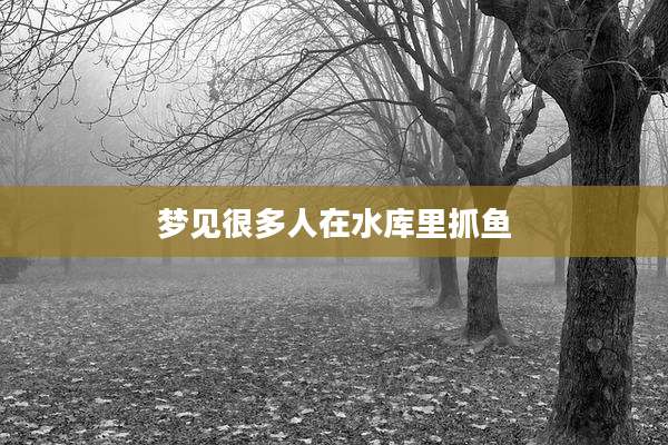梦见很多人在水库里抓鱼