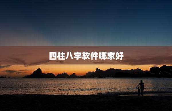 四柱八字软件哪家好