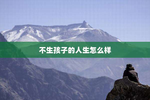 不生孩子的人生怎么样