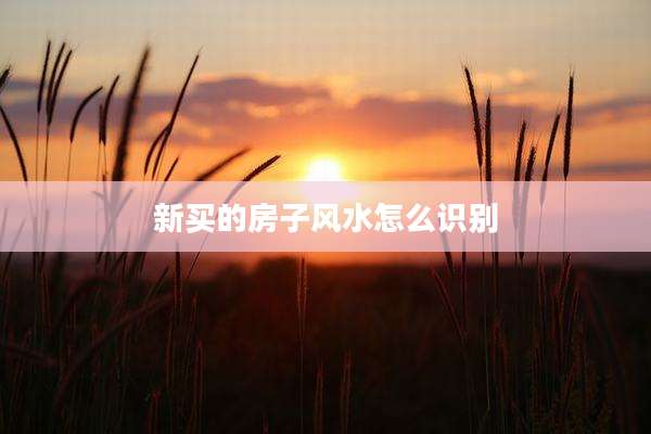新买的房子风水怎么识别