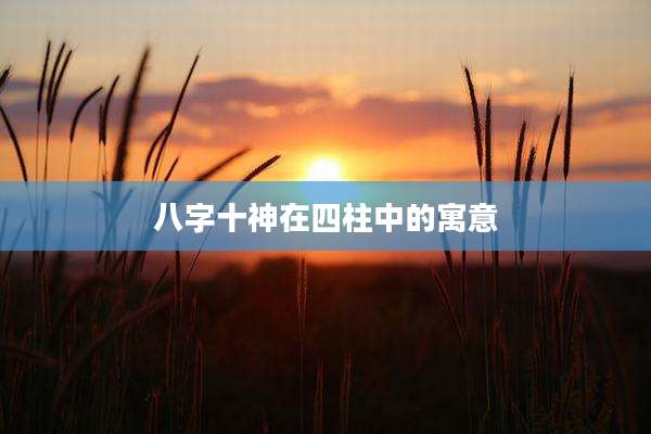 八字十神在四柱中的寓意