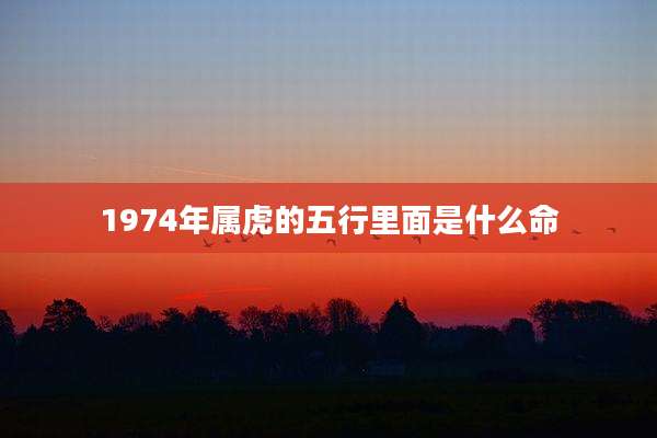 1974年属虎的五行里面是什么命