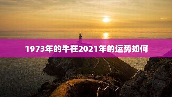 1973年的牛在2021年的运势如何
