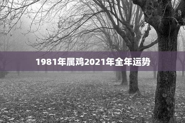 1981年属鸡2021年全年运势